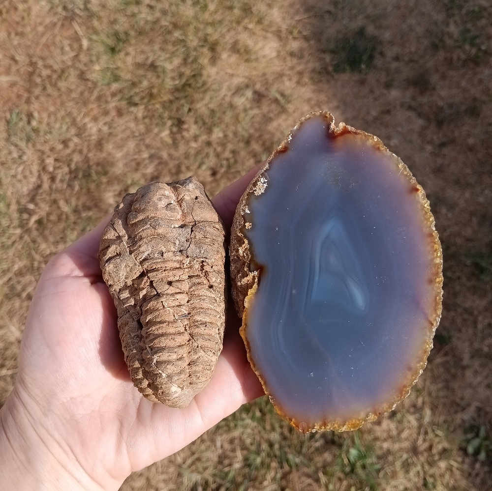 Fossil and agate